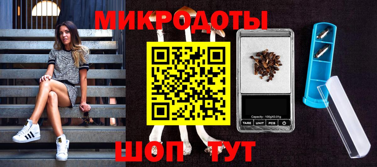 Псилоцибиновые грибы Cubensis Ижевск